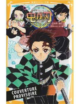 DEMON SLAYER - Roman jeunesse - Tome 1 Panini Manga 1 - Culture-Pop-France