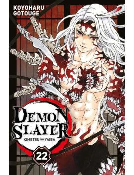 DEMON SLAYER - Tome 22 Panini Manga 1 - Culture-Pop-France