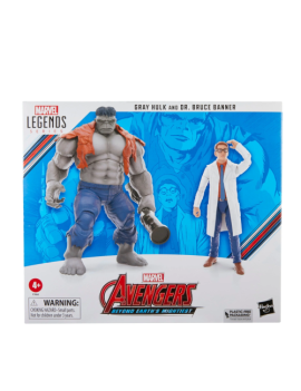 MARVEL - Gray Hulk et Dr Bruce Banner - Figurine Legend Series 15cm Hasbro 1 - Culture-Pop-France