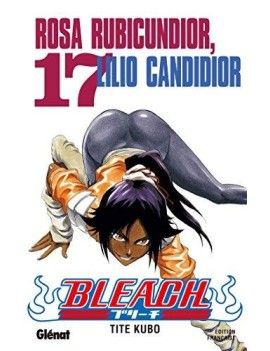 BLEACH - Tome 17 Glenat 1 - Culture-Pop-France