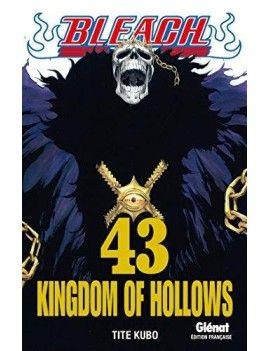 BLEACH - Tome 43 Glenat 1 - Culture-Pop-France