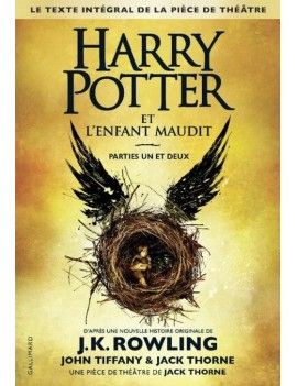 HARRY POTTER - L'enfant Maudit - Roman 1 - Culture-Pop-France