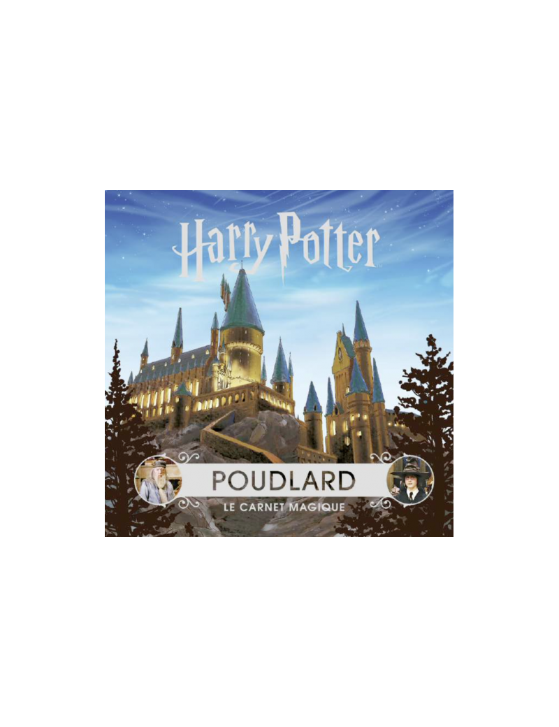 Harry Potter boite à bonbon Poudlard 28 Gr