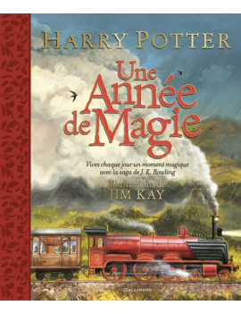 HARRY POTTER - Une année de magie 1 - Culture-Pop-France
