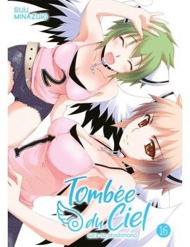 TOMBEE DU CIEL - Tome 16 1 - Culture-Pop-France