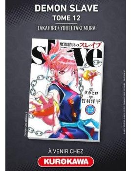 Demon Slave - Tome 12 1 - Culture-Pop-France