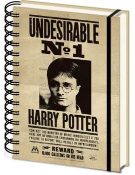 HARRY POTTER - Sirius & Harry - Notebook A5 3D Pyramid 1 - Culture-Pop-France