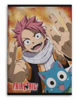 FAIRY TAIL - Natsu & Happy - Plaid en polaire 100x140cm AyMax 1 - Culture-Pop-France