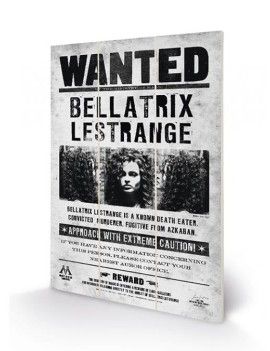 HARRY POTTER - Bellatrix Wanted - Impression sur bois 20x29.5 Pyramid 1 - Culture-Pop-France