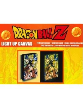 DRAGON BALL Z - Goku Evolution - Canvas Lumineux 40X30 Cm Pyramid 1 - Culture-Pop-France