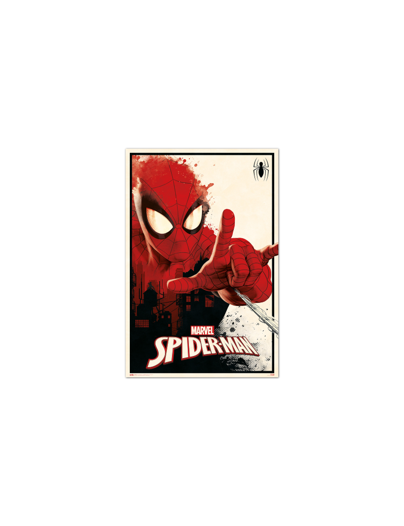 Spider-Man Poster POP -  France