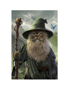 LE SEIGNEUR DES ANNEAUX - Catdalf - Poster 61x91cm Pyramid 1 - Culture-Pop-France