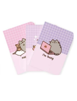 PUSHEEN - Pack de 3 Notebooks - Format A5 1 - Culture-Pop-France