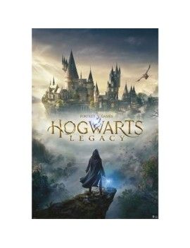 HOGWARTS LEGACY - Wizarding World Universe - Poster 61 x 91cm Pyramid 1 - Culture-Pop-France
