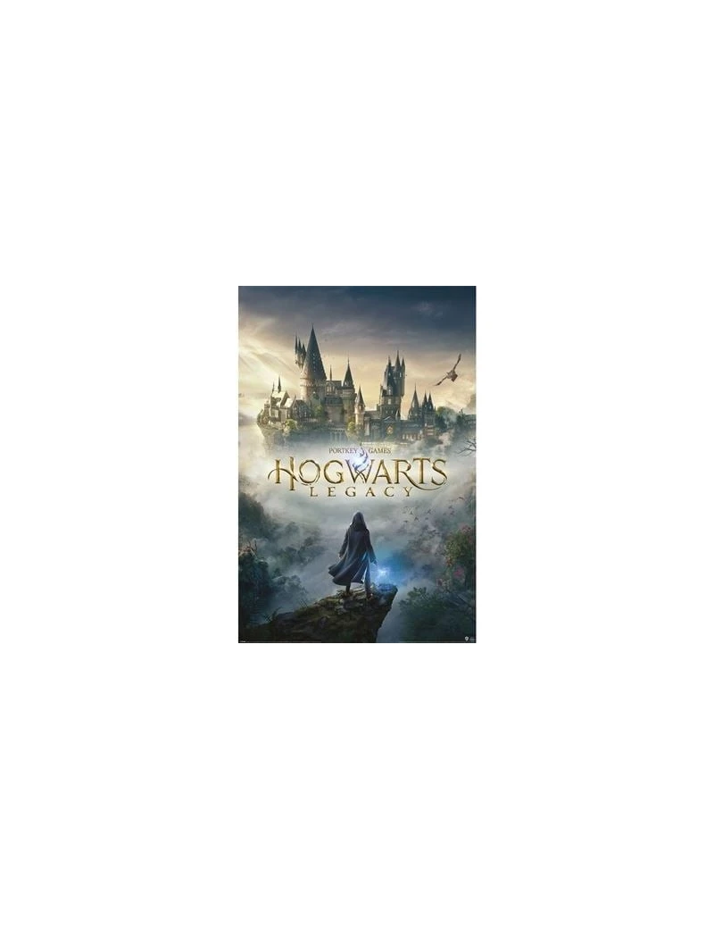 HOGWARTS LEGACY - Wizarding World Universe - Poster 61 x 91cm Pyramid 1 - Culture-Pop-France HOGWARTS LEGACY - Wizarding World Universe - Poster 61 x 91cm Pyramid 1 - Culture-Pop-France