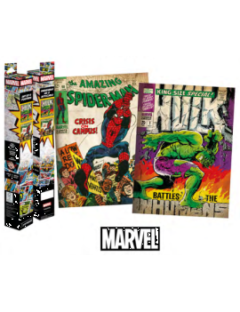 MARVEL - Spider-Man & Hulk - Set 2 Posters 52 x 38cm Pyramid 1 - Culture-Pop-France