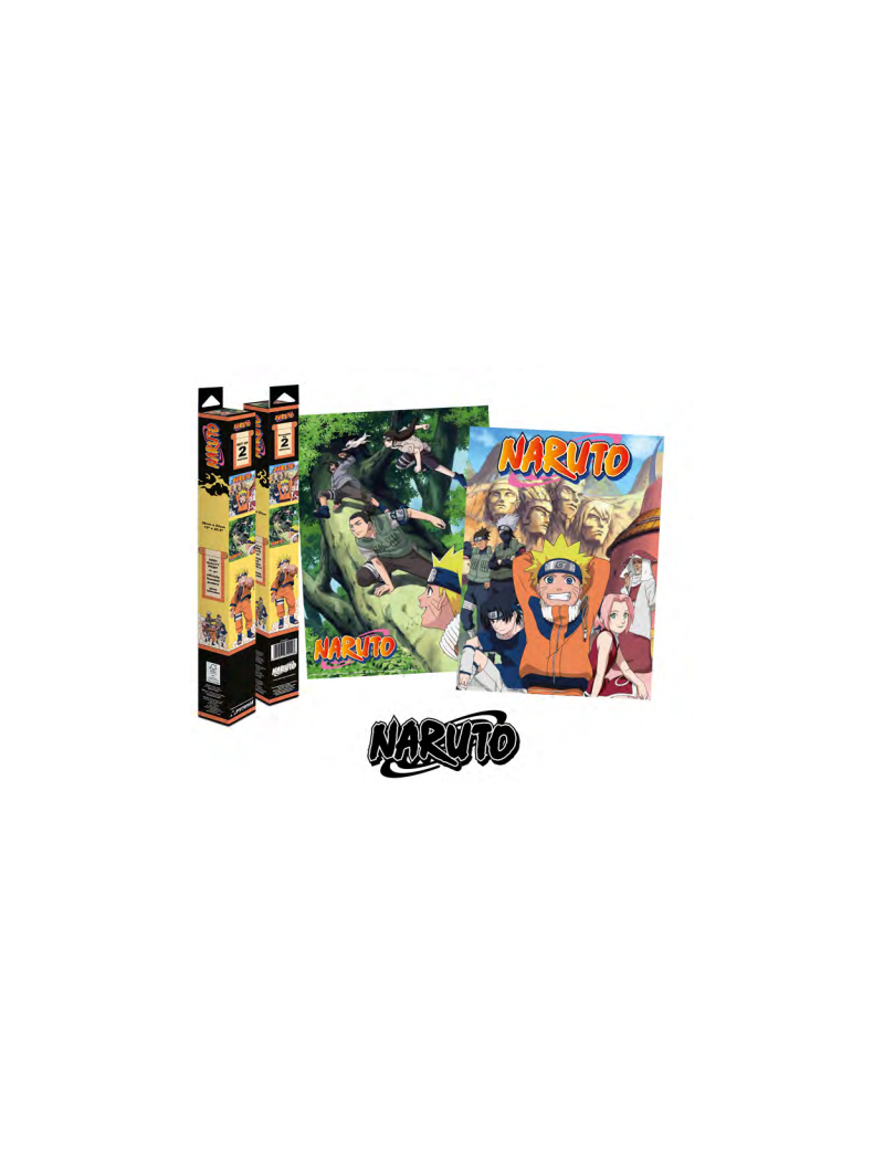 NARUTO Poster Naruto & emblème Konoha (52 x 38 cm)