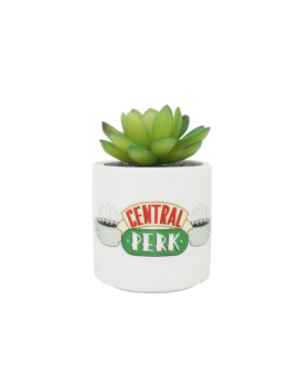 FREINDS - Central Perk - Faux Pot à Plantes 6.5cm HMB 1 - Culture-Pop-France