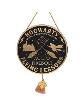 HARRY POTTER - Flying Lesson - Décoration Mural Widdop 1 - Culture-Pop-France