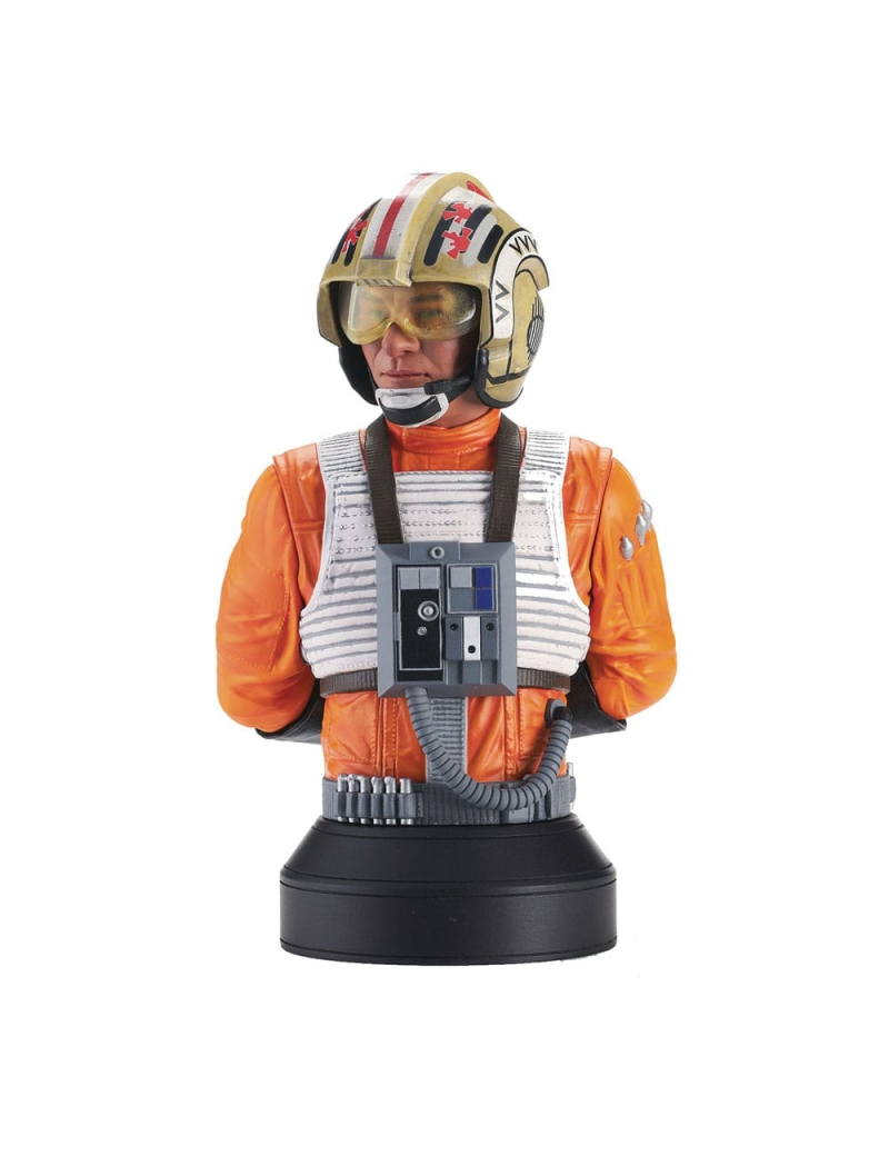 STAR WARS UN NOUVEL ESPOIR - Red Leader - buste 1/6 15cm STAR WARS UN NOUVEL ESPOIR - Red Leader - buste 1/6 15cm