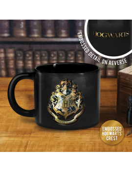 HARRY POTTER - Mug Gravé 400ml