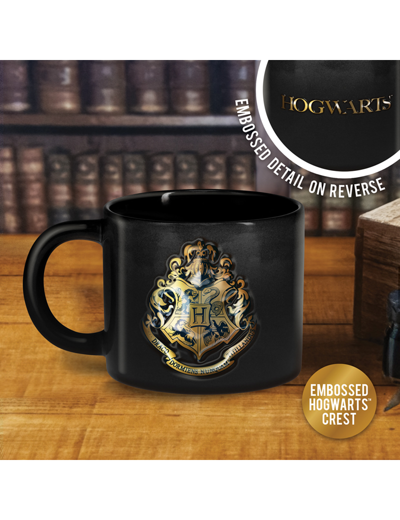 HARRY POTTER - Mug Gravé 400ml HARRY POTTER - Mug Gravé 400ml