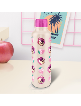 LOTSO - Bouteille d'Eau en Métal 500ml