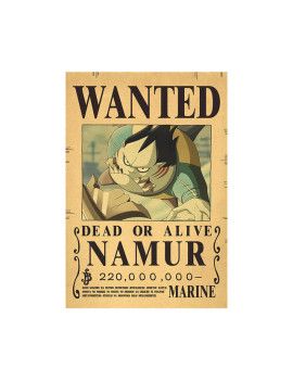Affiche Wanted Namur 220 000 000 Berries  /- 42 X 28.5 - One piece 1 - Culture-Pop-France