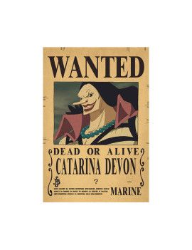 Affiche Wanted Catarina Devon  /- 42 X 28.5 - One piece 1 - Culture-Pop-France