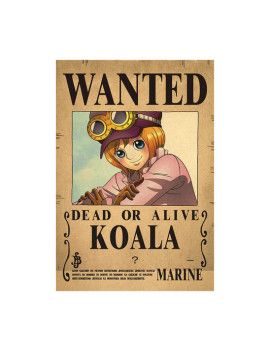 Affiche Wanted Koala  /- 42 X 28.5 - One piece 1 - Culture-Pop-France